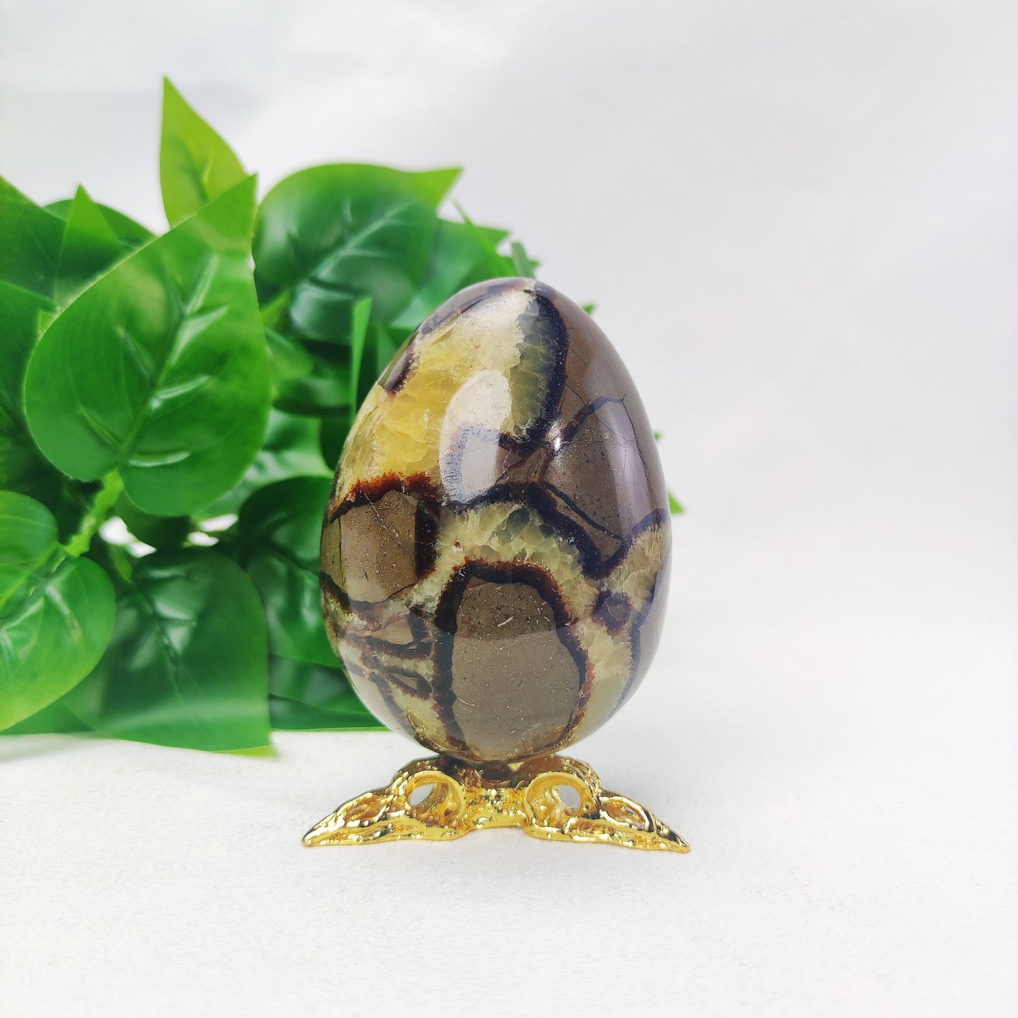 Septarian Egg with Raven Holder