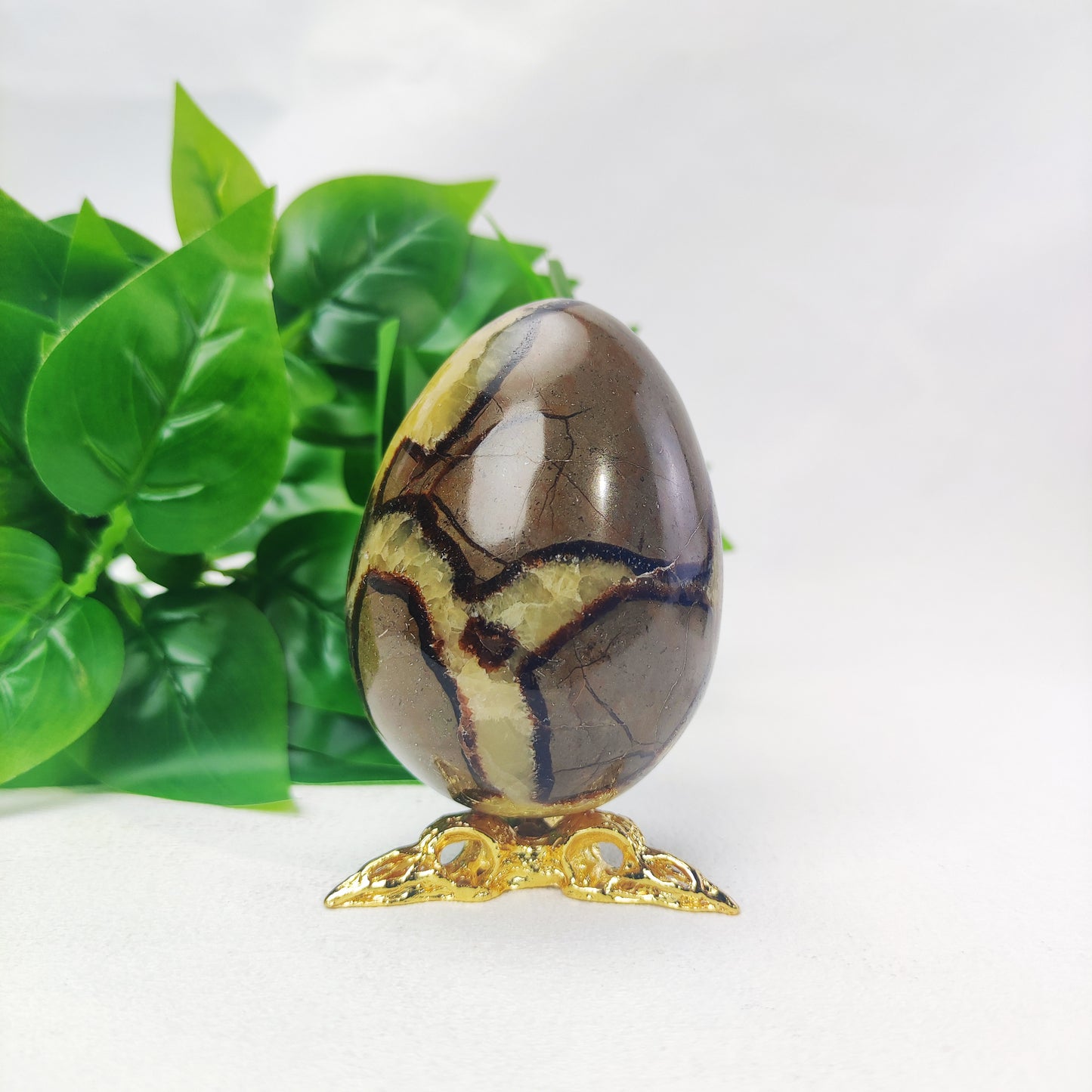 Septarian Egg with Raven Holder