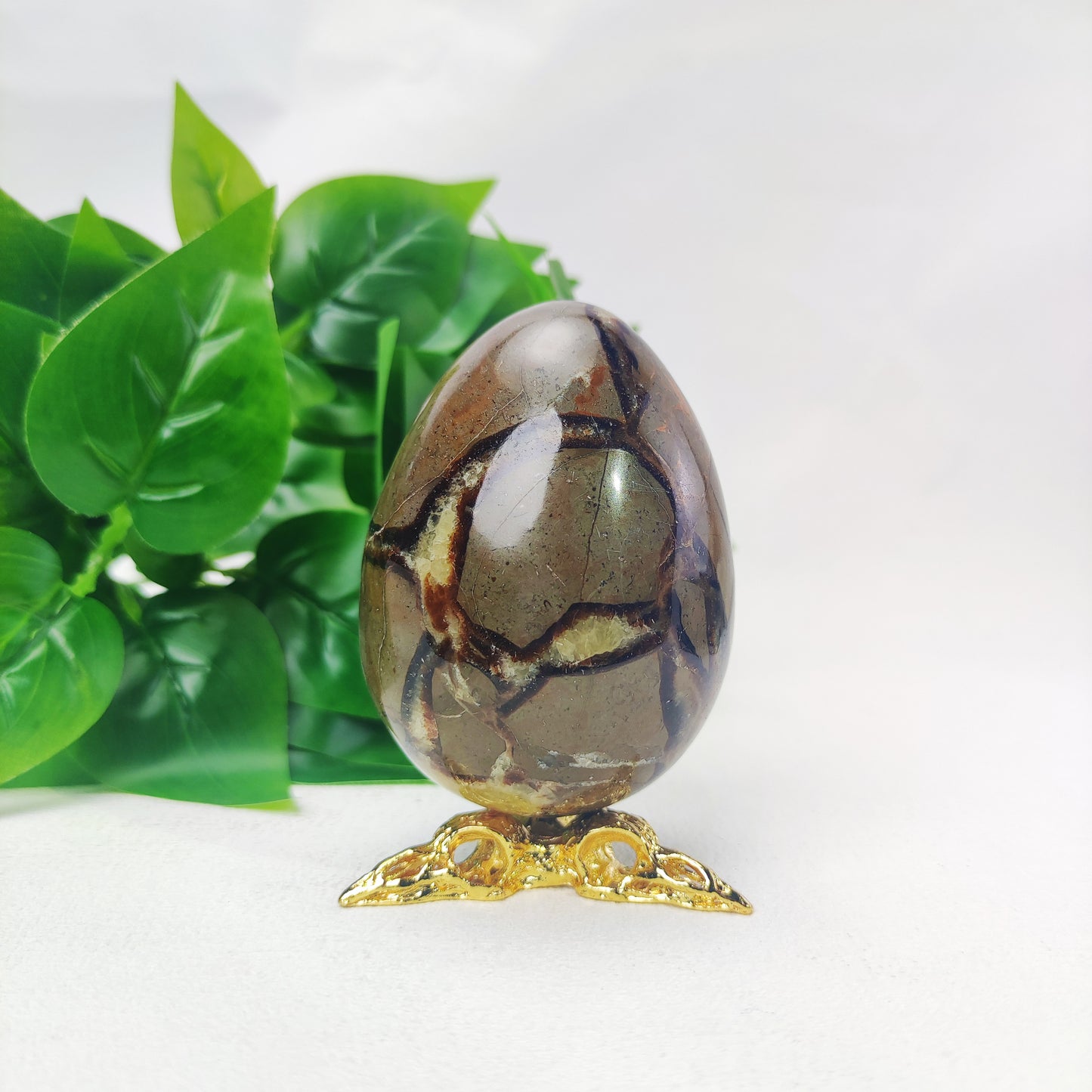 Septarian Egg with Raven Holder