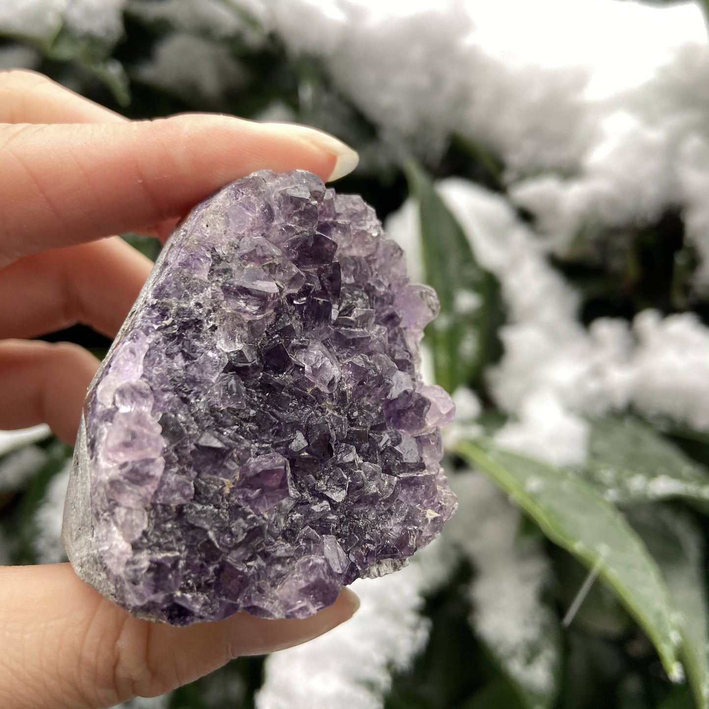 Amethyst Geode